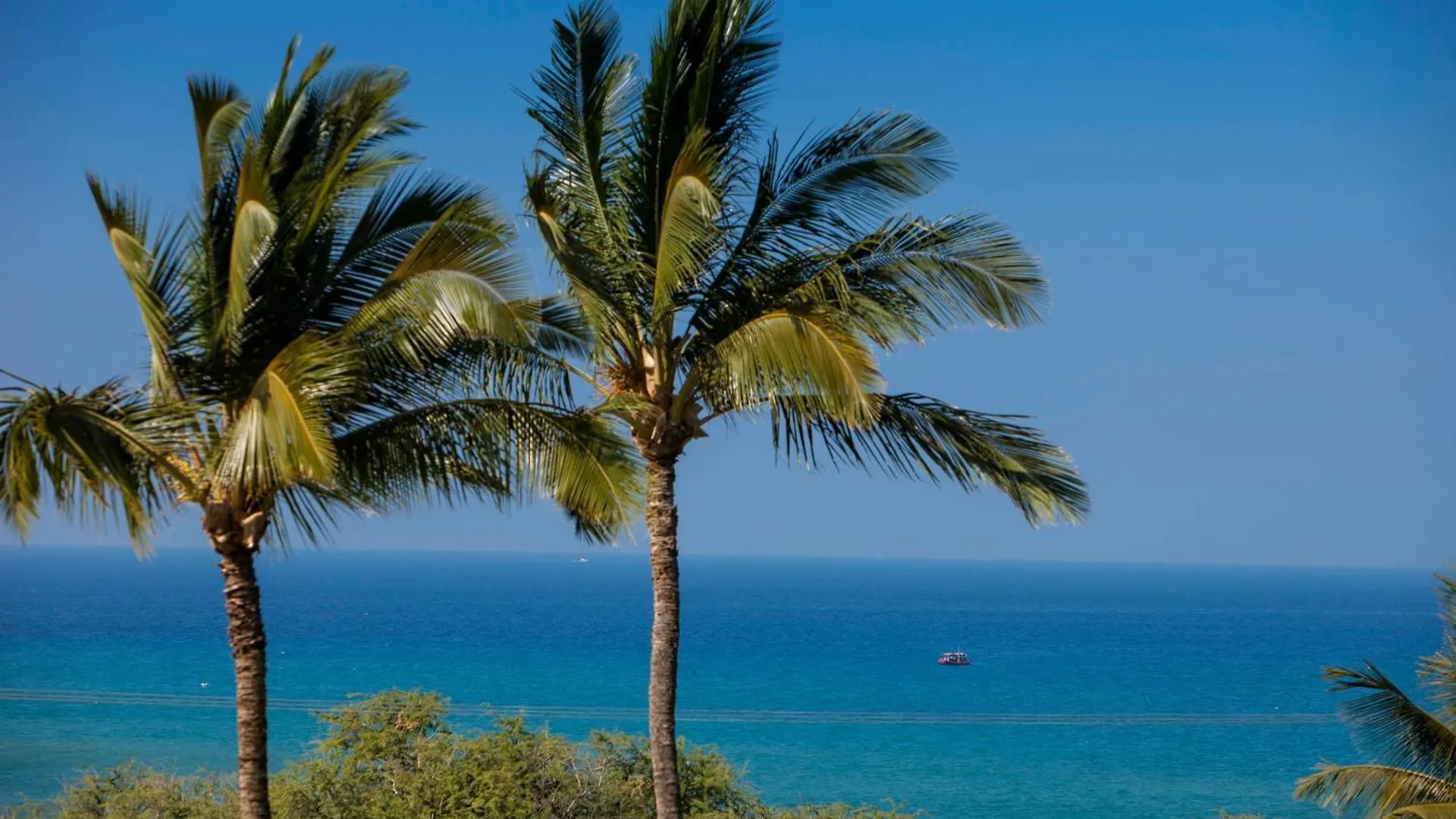 Villa Maui Kamaole A205 - Mch Kīhei 0*,  USA